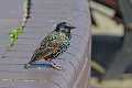 10 08 12_4048_edited-1